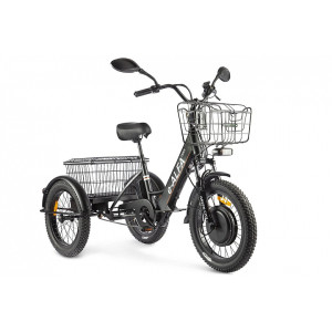 Электровелосипед GREEN CITY e-ALFA Trike