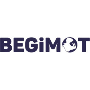 Электротрициклы BegiMot