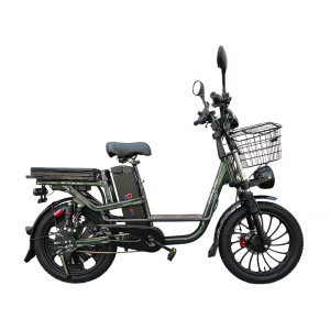 Электровелосипед Smart8 Dacha Pro зелёный