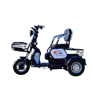 Электротрицикл Terax SVITYAZ NS003