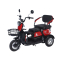 Электротрицикл Terax SVITYAZ NS003 Электротрицикл Terax SVITYAZ NS003