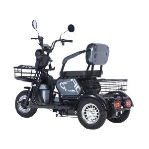 Электротрицикл Terax SVITYAZ NS003