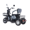 Электротрицикл Terax SVITYAZ NS003 Электротрицикл Terax SVITYAZ NS003
