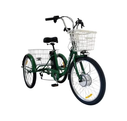 Трёхколёсный электровелосипед Smart8 Farmer зелёный