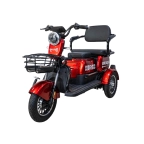 Электротрицикл Smart8 Bulbash S красный
