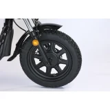 Электровелосипед SmartBalance Master Pro 50 Ah (2025)