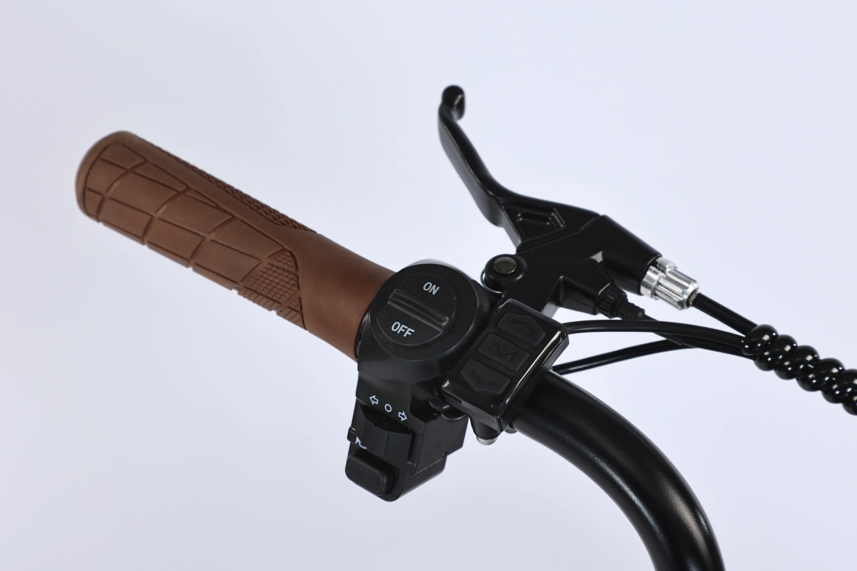 Электровелосипед SmartBalance Diplomat (2025)