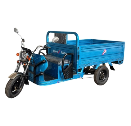 Грузовой электротрицикл SmartBalance Cargo