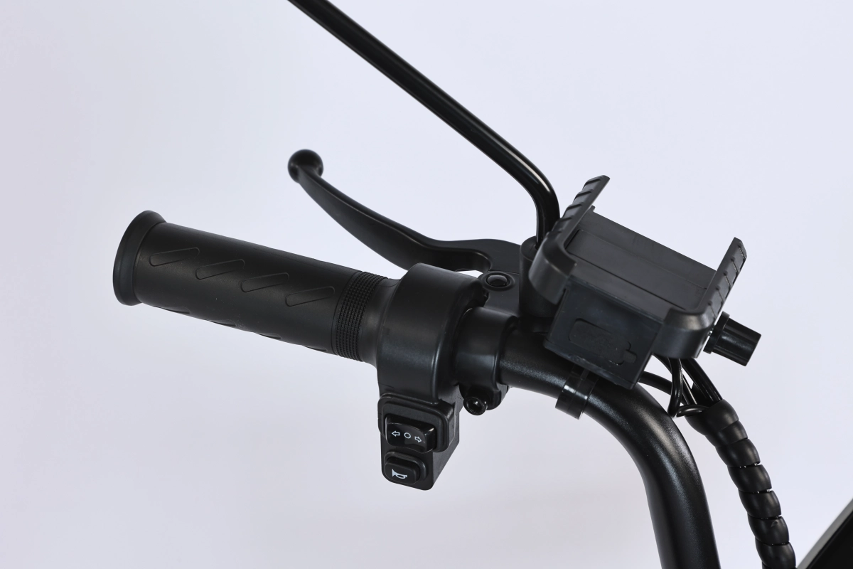 Электровелосипед SmartBalance Fiesta Pro (2025)