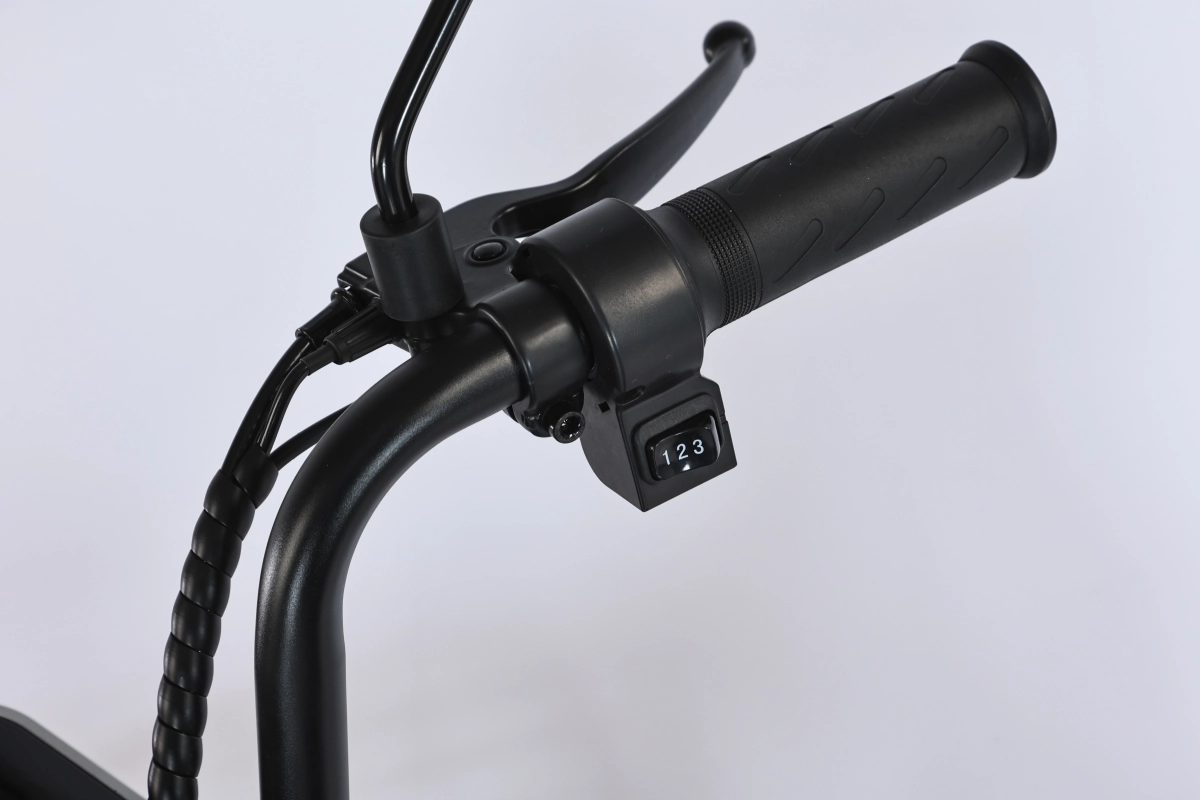 Электровелосипед SmartBalance Fiesta Pro (2025)