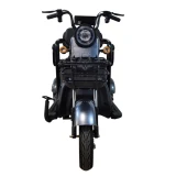 Электротрицикл  SMD TRIKE PLUS