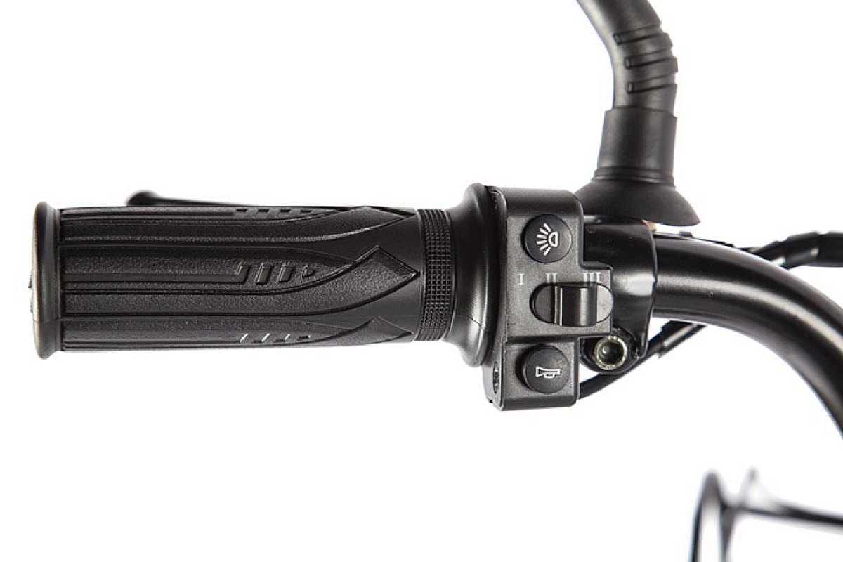 Электровелосипед Green City E Alfa Fat