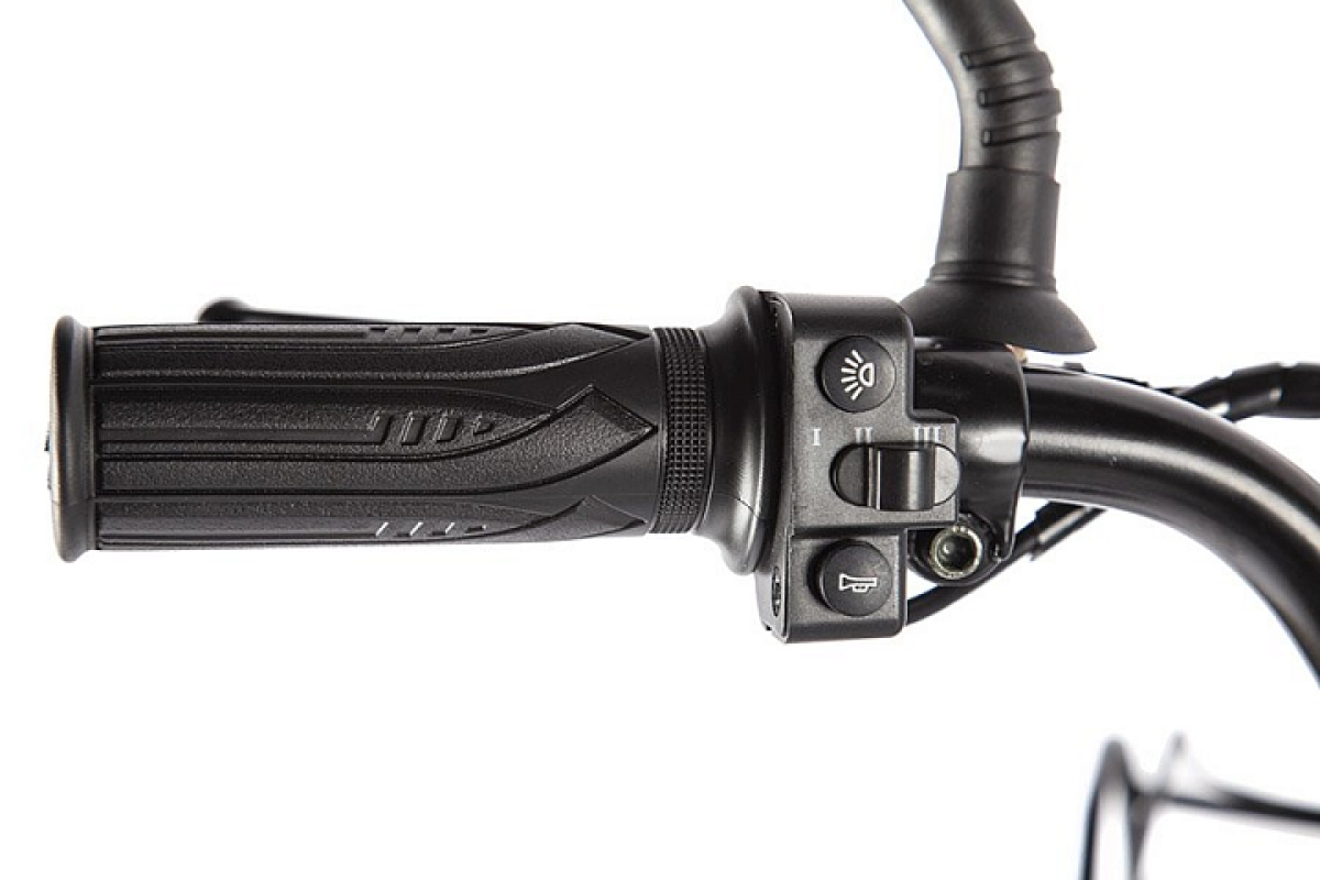 Электровелосипед Green City E Alfa Fat