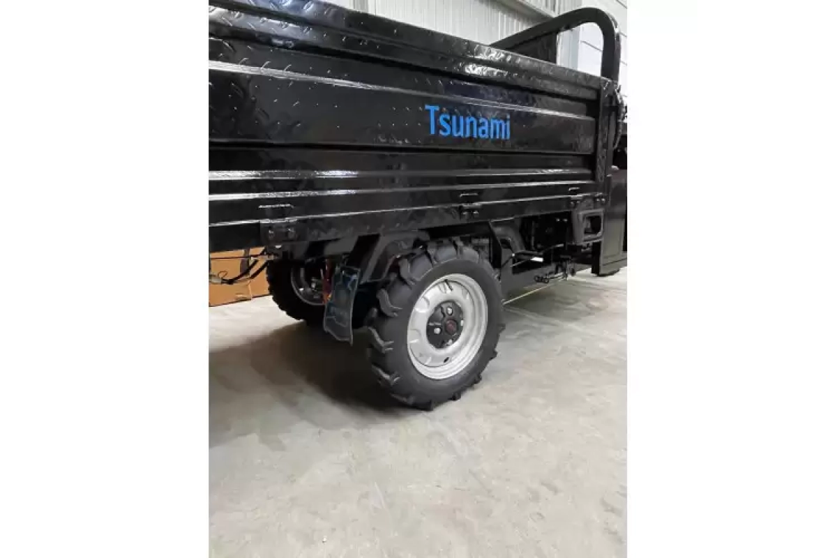 Электротрицикл Tsunami E3 с подъёмным механизмом