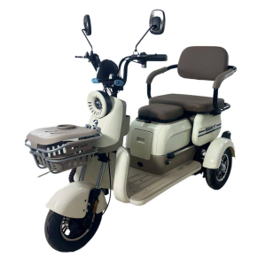 Электрический трицикл BegiMot Trio Classic