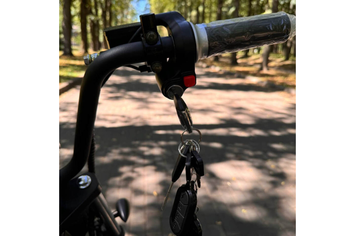 Электроскутер SmartBalance Sport Plus (2024)