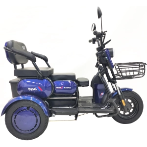 Электрический трицикл SmartBalance Bysel