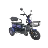 Электрический трицикл SmartBalance Bysel