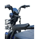 Электрический трицикл SmartBalance Bysel
