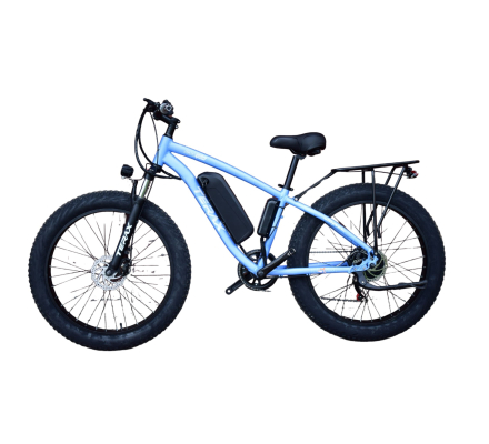 Электровелосипед Terax NEMAN XD01