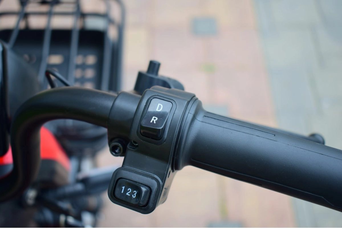 Электротрицикл Terax BIGGI красный