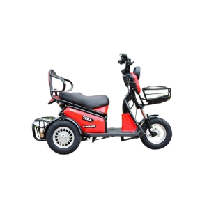 Электротрицикл Terax BIGGI красный