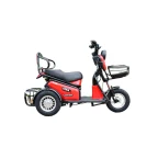 Электротрицикл Terax BIGGI красный Электротрицикл Terax BIGGI красный