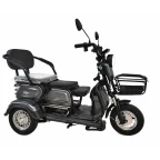 Электротрицикл SMD TRIKE серый
