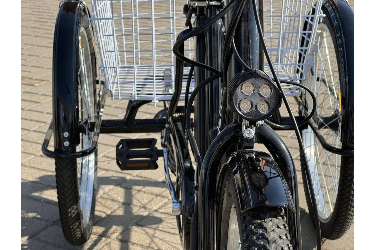 Трёхколёсный электровелосипед SmartBalance Fermer чёрный (2024)