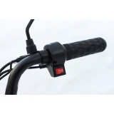 Электроскутер AVM DELTA Pro