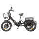 Электровелосипед GREEN CITY e-ALFA Trike