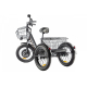 Электровелосипед GREEN CITY e-ALFA Trike