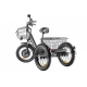 Электровелосипед GREEN CITY e-ALFA Trike