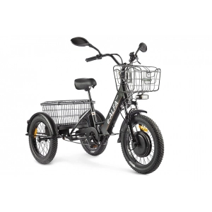 Электровелосипед GREEN CITY e-ALFA Trike