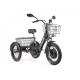 Электровелосипед GREEN CITY e-ALFA Trike