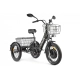 Электровелосипед GREEN CITY e-ALFA Trike