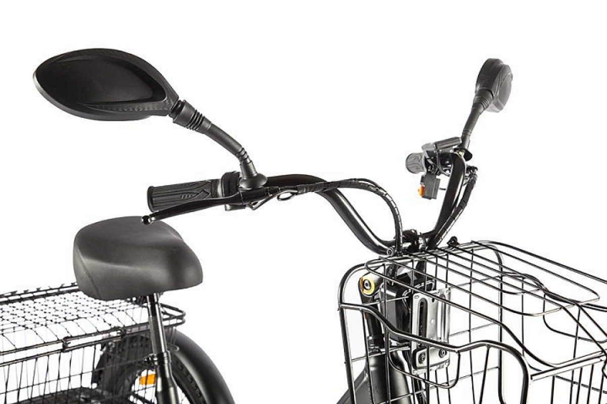 Электровелосипед GREEN CITY e-ALFA Trike