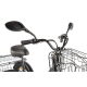 Электровелосипед GREEN CITY e-ALFA Trike