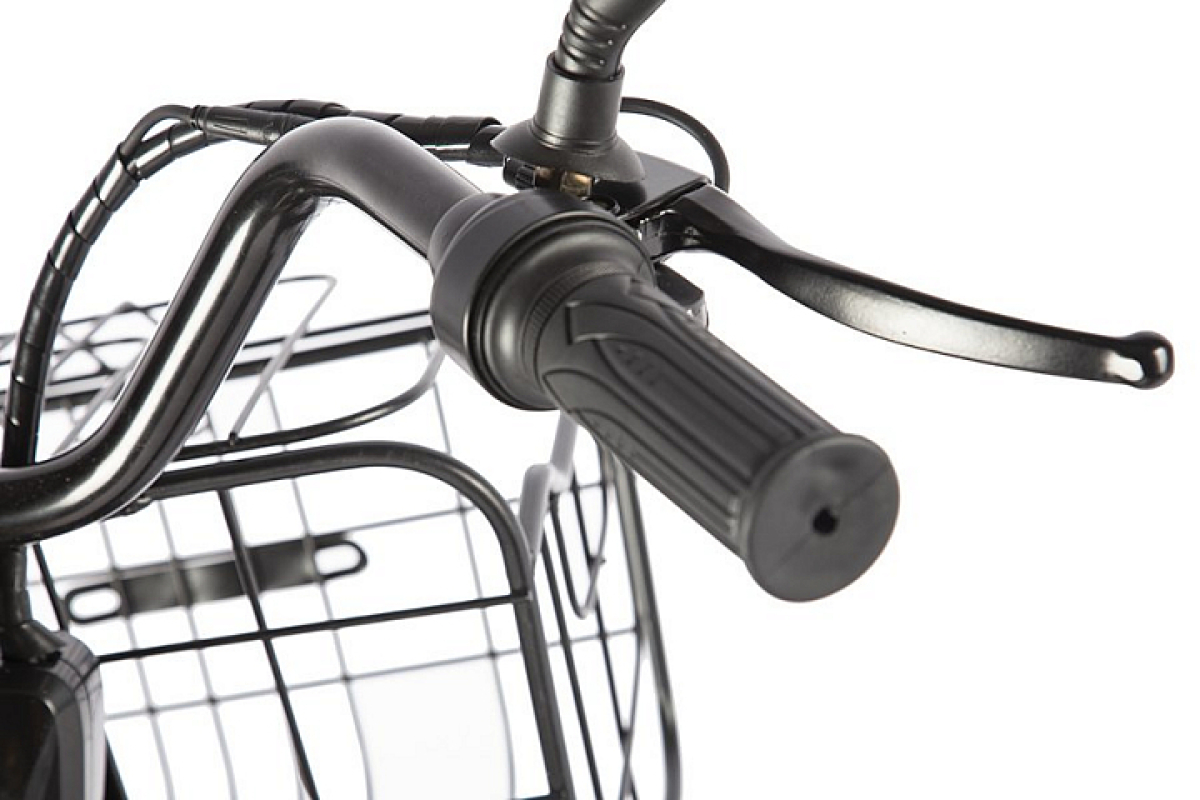 Электровелосипед GREEN CITY e-ALFA Trike