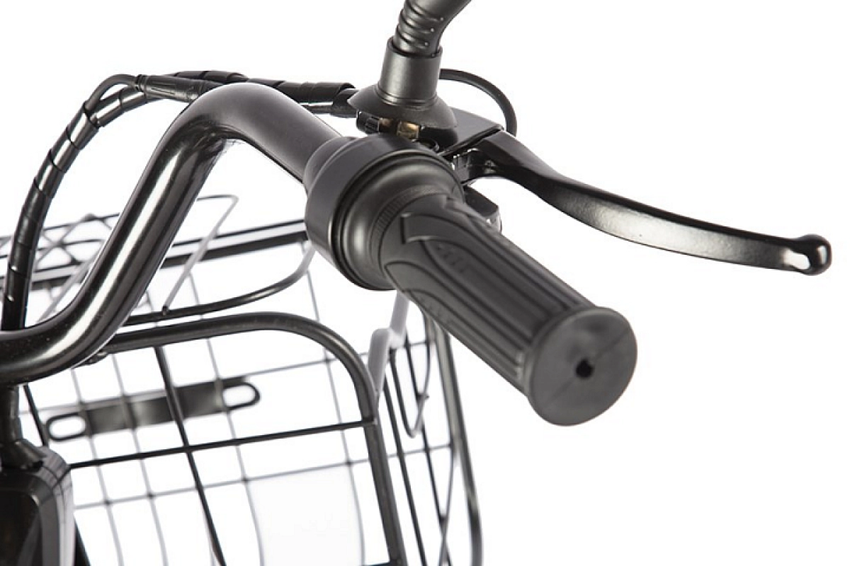 Электровелосипед GREEN CITY e-ALFA Trike