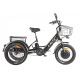 Электровелосипед GREEN CITY e-ALFA Trike