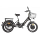 Электровелосипед GREEN CITY e-ALFA Trike