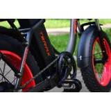 Электровелосипед TERAX V4