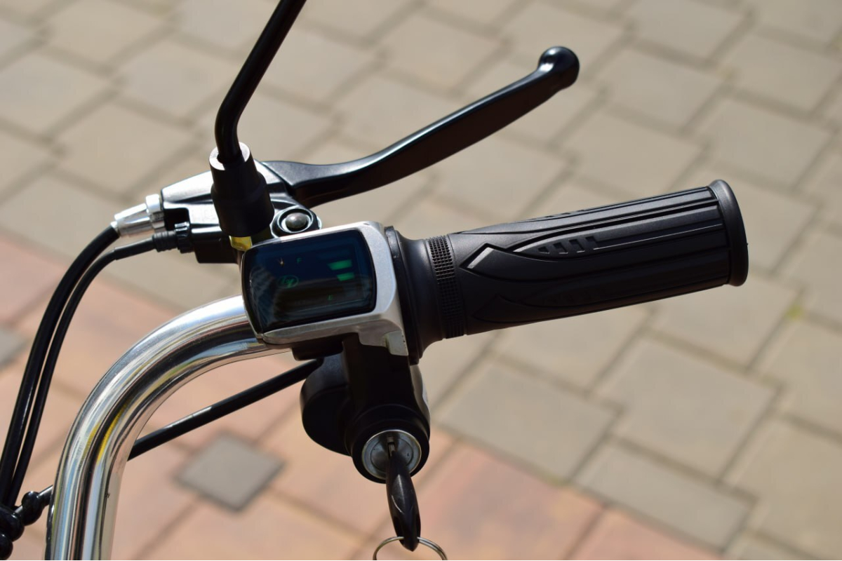 Электровелосипед Terax ROXY NS010