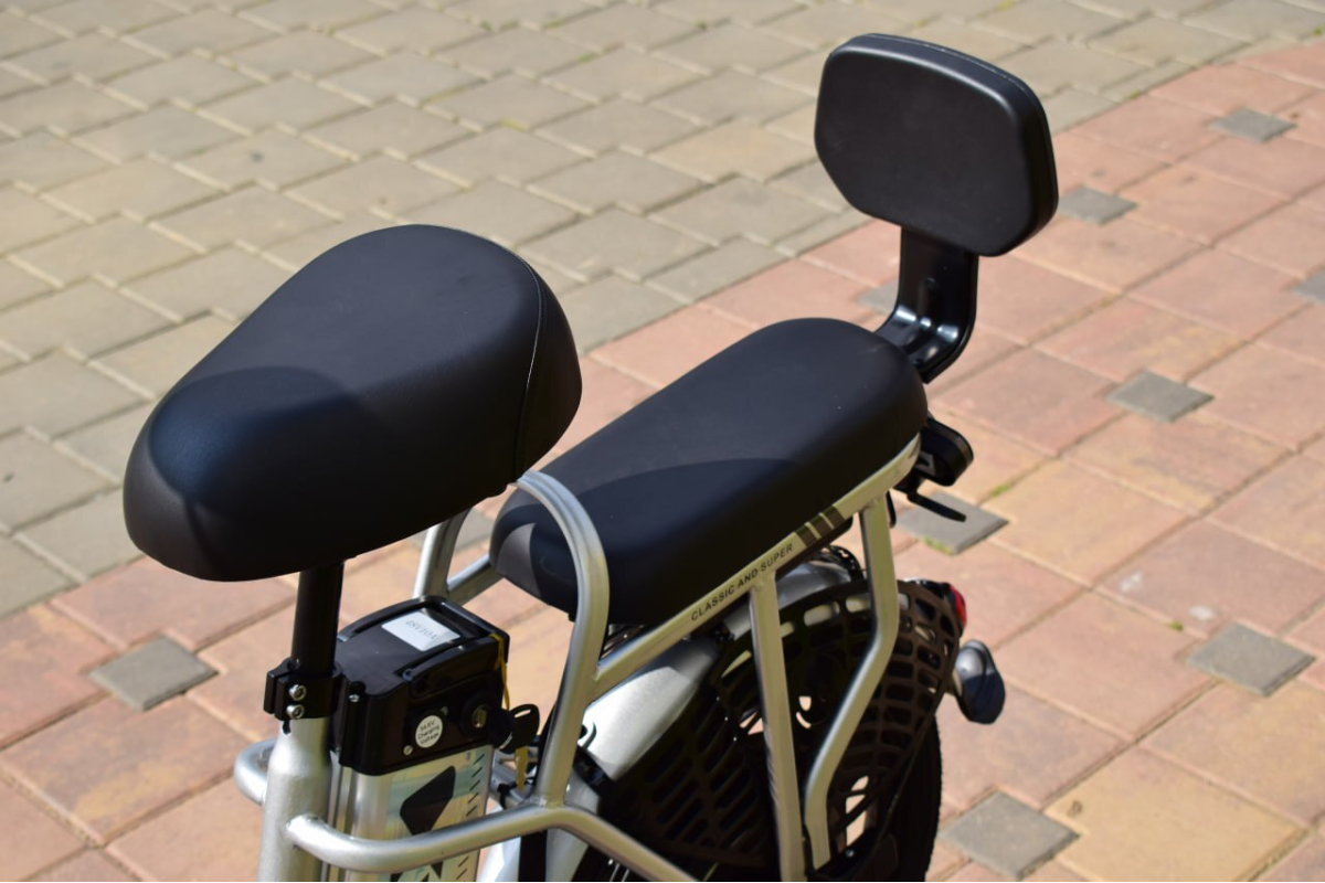 Электровелосипед Terax ROXY NS010