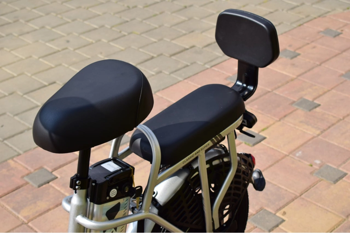 Электровелосипед Terax ROXY NS010