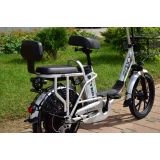 Электровелосипед Terax ROXY NS010