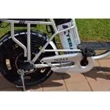 Электровелосипед Terax ROXY NS010