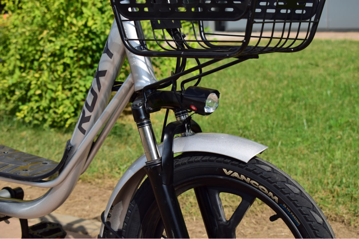 Электровелосипед Terax ROXY NS010