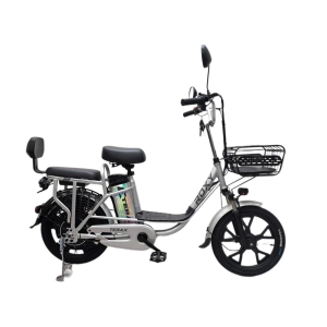 Электровелосипед Terax ROXY NS010